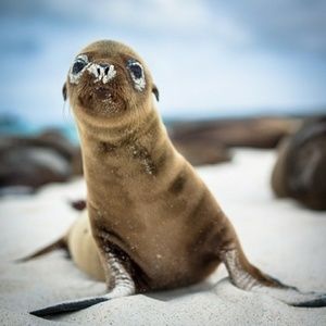 Meet your Posher, Jesica